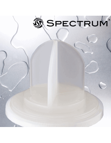 TERMINATION FINALE CARTOUCHE SPECTRUM PSP FIN...